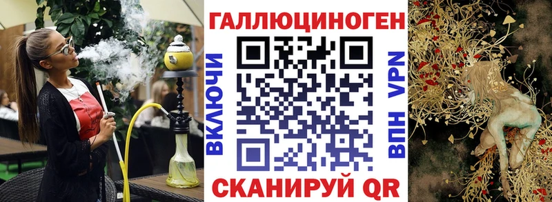 Галлюциногенные грибы Psilocybine cubensis  Черняховск 