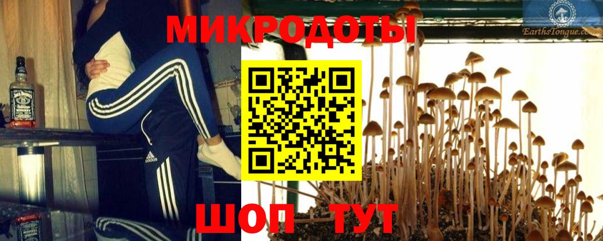 Черняховск  Псилоцибиновые грибы Magic Shrooms  Псилоцибиновые грибы прущие грибы  хочу   Вход с VPN 