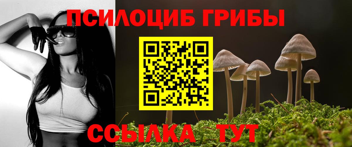 Меф  Каннабис  КОКАИН  Мефедрон кристаллы  ЭКСТАЗИ  Черняховск  Вход с VPN  Гашиш  ГАШ  Магазин наркотиков 